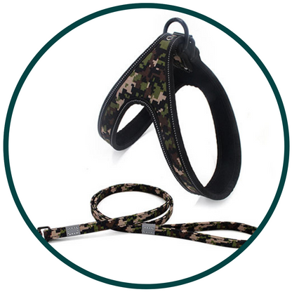 Patterned Harness and Leash