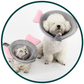 Animal Themed Protection Collar