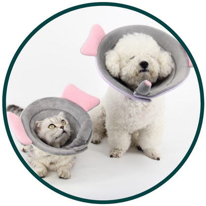 Dyretema Beskyttelseskrave