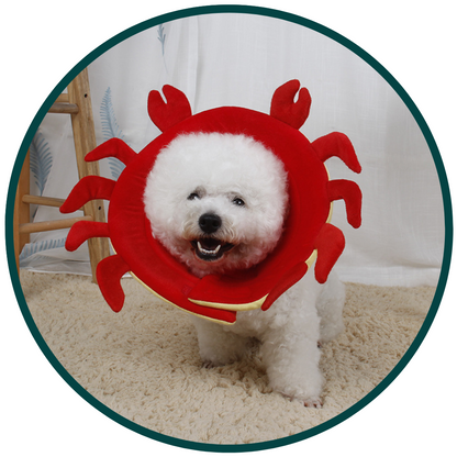 Dyretema Beskyttelseskrave