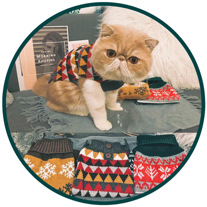 Knitted Pattern Sweater