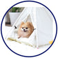 Designer White Pet Teepee