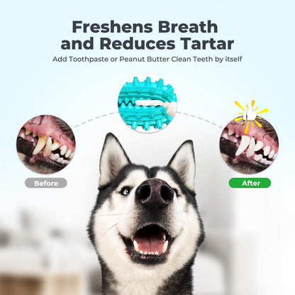 Toothbrush Stick Toy