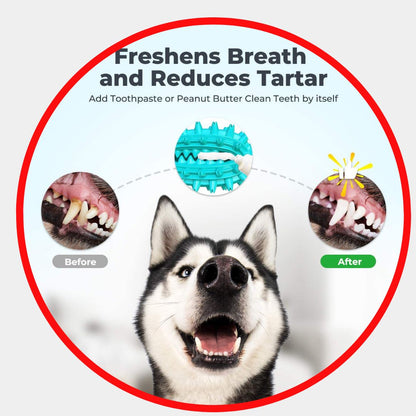 Toothbrush Stick Toy