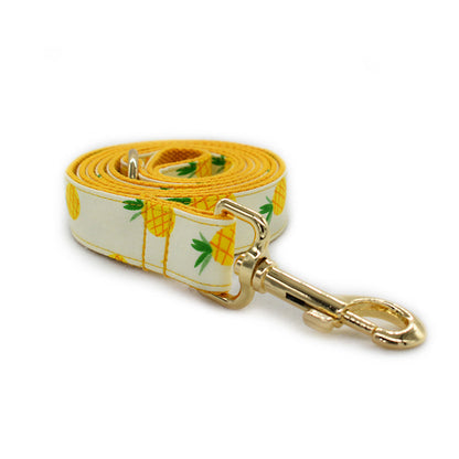 Pineapple Collar and Leash