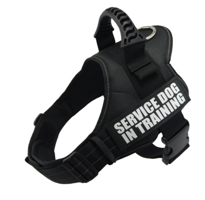 'Service Dog' Harness
