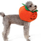Fancy Dress : Pumpkin