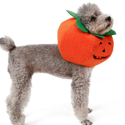 Fancy Dress : Pumpkin