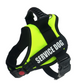'Service Dog' Harness