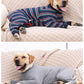 Dog Pyjamas