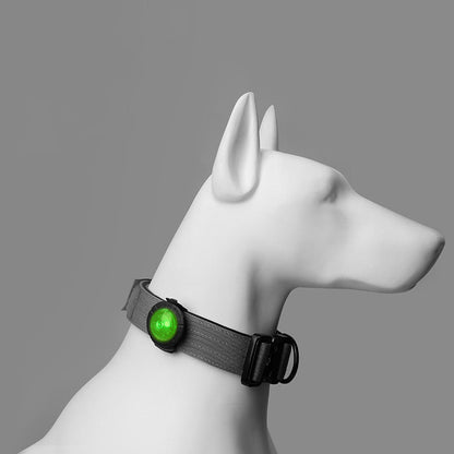 Pet Safety Light