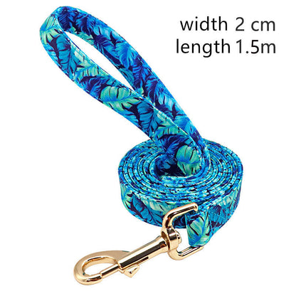 Pattern Leash
