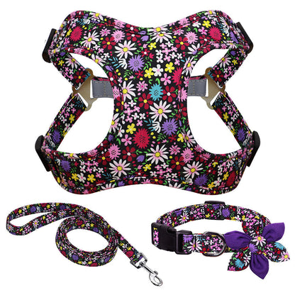 Floral Collar, Leash, and Harness Set