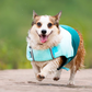 Bouboo All-Season Pet Swimwear