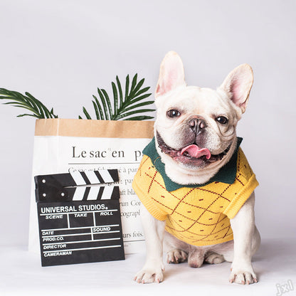 Pineapple Pet Sweater
