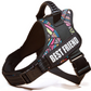 'Service Dog' Harness
