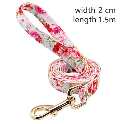 Pattern Leash