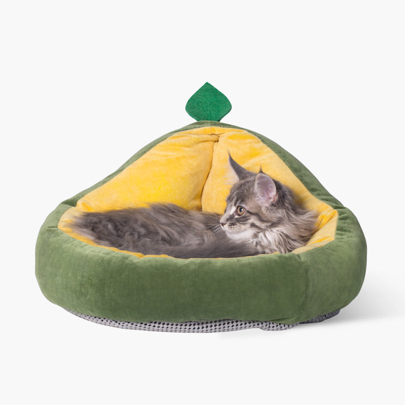 Avocado Bett
