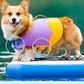 Bouboo All-Season Pet Swimwear