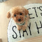 Realistic Teddy Dog Lucky Plush Puppy