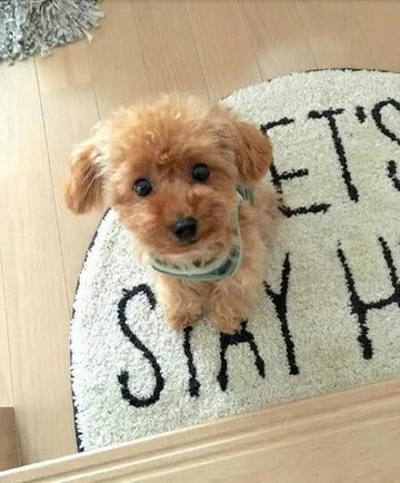 Realistic Teddy Dog Lucky Plush Puppy