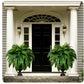 UV Resistant Lifelike Artificial Boston Fern