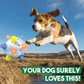 New Jumping Activation Ball For Dogs