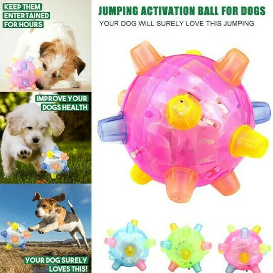 New Jumping Activation Ball For Dogs