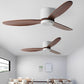 LED Inverter Silent White Low Floor DC Motor Simple Ceiling Fan Light