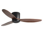 LED Inverter Silent White Low Floor DC Motor Simple Ceiling Fan Light