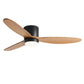 LED Inverter Silent White Low Floor DC Motor Simple Ceiling Fan Light