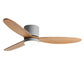 LED Inverter Silent White Low Floor DC Motor Simple Ceiling Fan Light