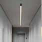 Stepless Dimming LED Modern Ceiling Light with Remote Control