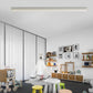 Minimalist Strip Stepless Dimming LED Modern Ceiling Light