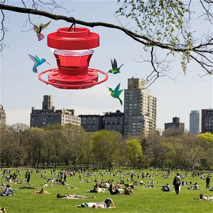 Hængende bi-sikre kolibrit vandforinger med siddepind