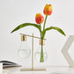 Aesthetic Lightbulb Propagation Vase