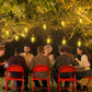 Waterproof Solar 31ft 20 LED Hemp Rope String Lights with Remote