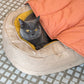 Leaf Shape Dog Blanket with Donut Dog Bed Luxury Dog Gifts