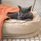 Leaf Shape Dog Blanket with Donut Dog Bed Luxury Dog Gifts