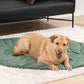Leaf Shape Human Mat Dog Blanket